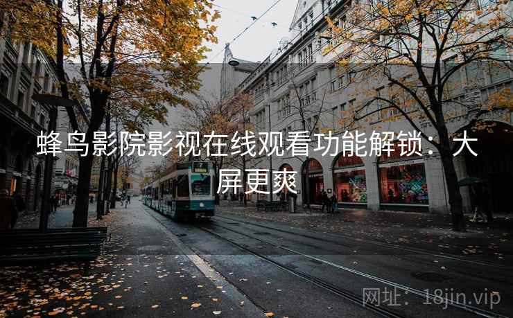 蜂鸟影院影视在线观看功能解锁：大屏更爽