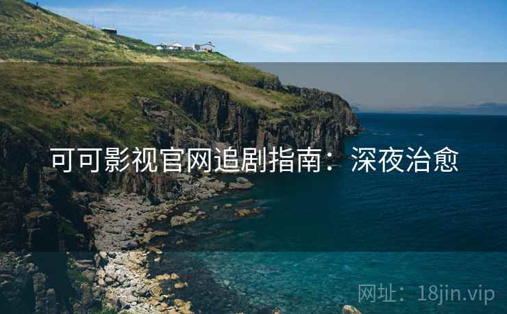 可可影视官网追剧指南：深夜治愈