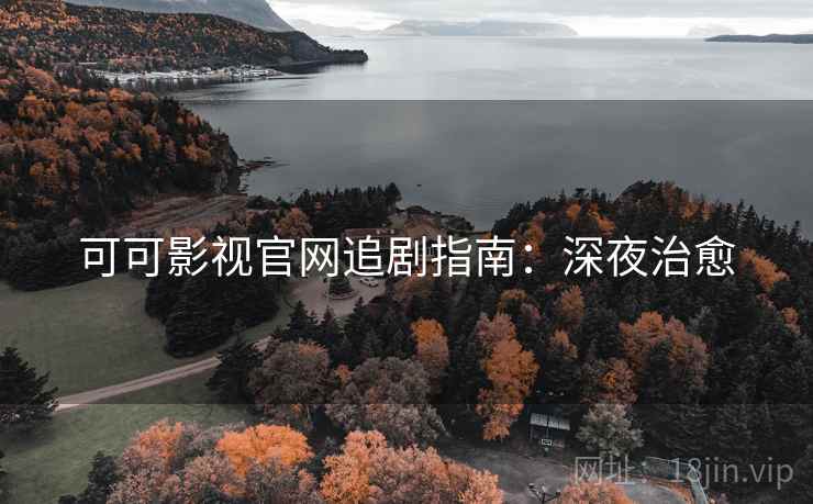 可可影视官网追剧指南：深夜治愈