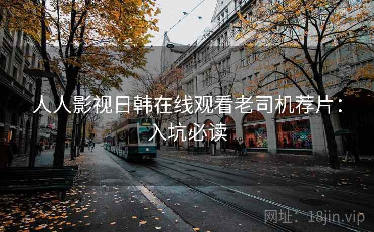 人人影视日韩在线观看老司机荐片：入坑必读