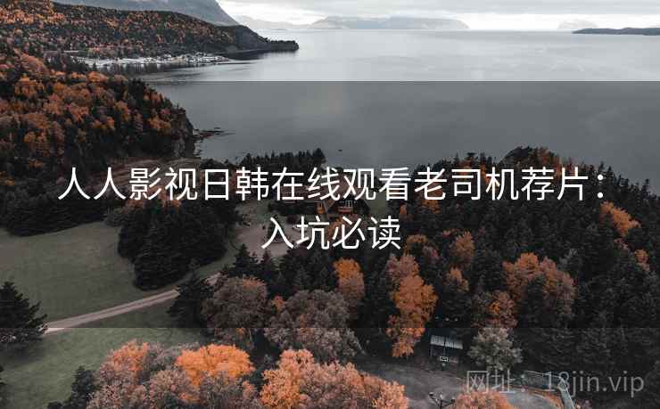 人人影视日韩在线观看老司机荐片：入坑必读