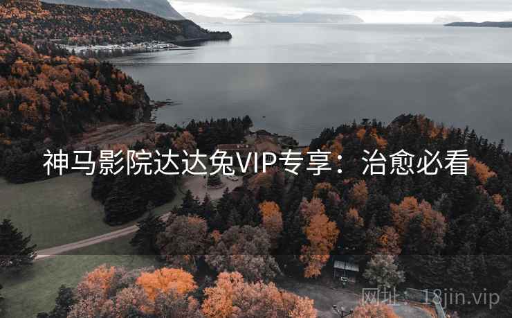神马影院达达兔VIP专享：治愈必看